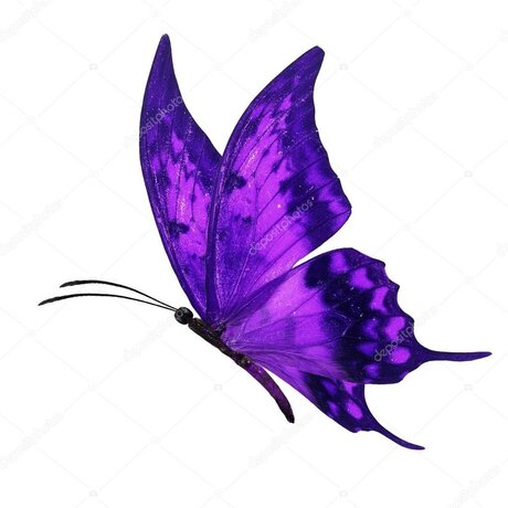Photo nue de fuite OnlyFans de Missbutterfly