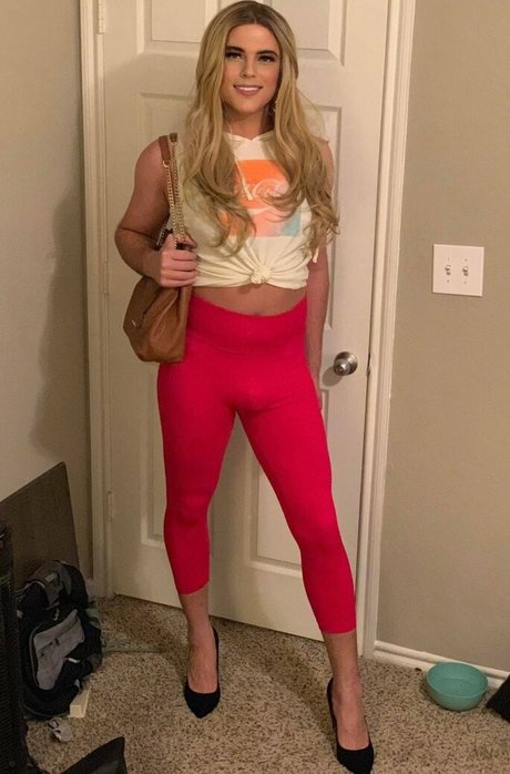 Noellenights