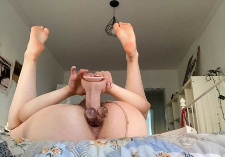 Lostodg