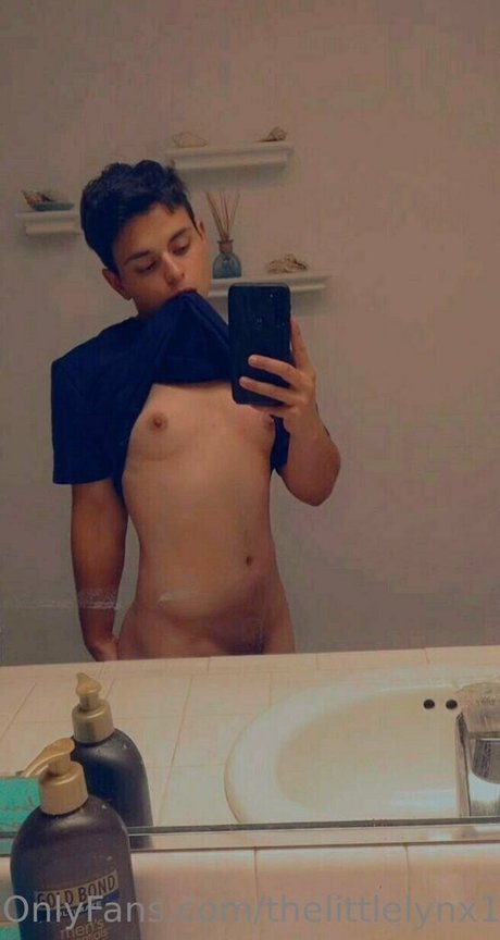 Thelittlelynx11