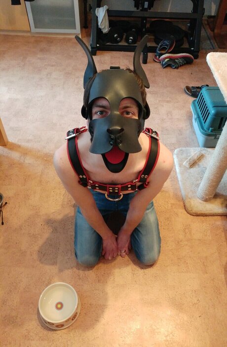 Photo nue de fuite OnlyFans de Pupdexi