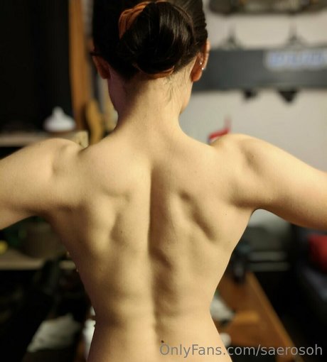 Saerosoh