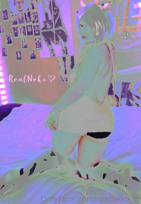 Realneko_tv