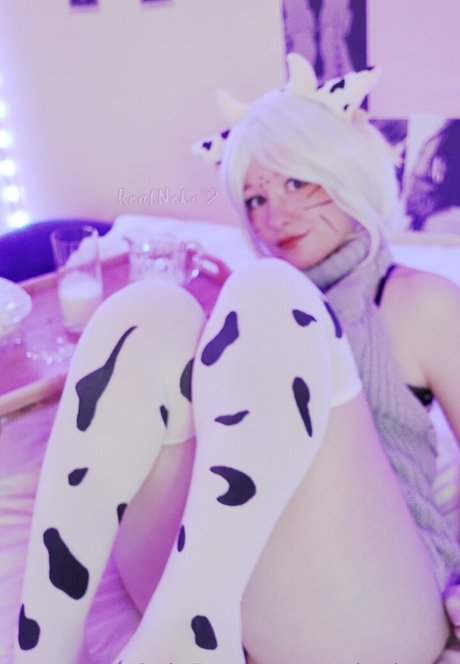 Realnekotv
