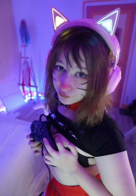 Realnekotv