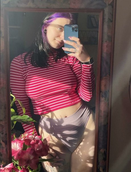 Phoebemae