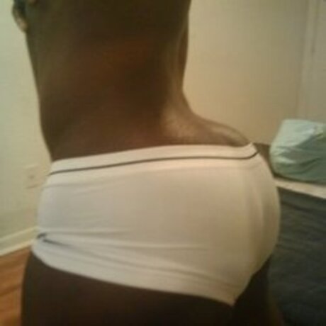 Datasstho954