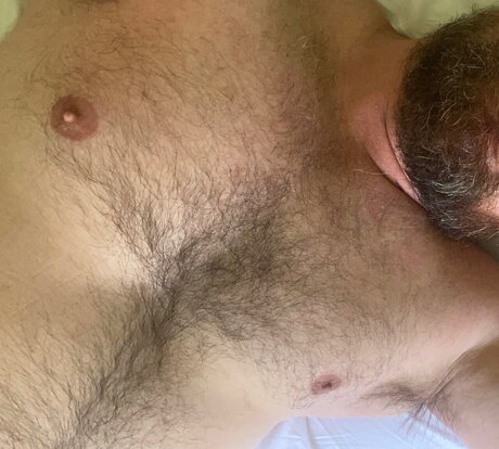 Bearzinho