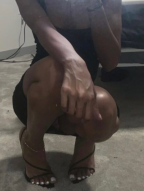Amarieproctor