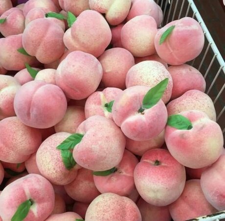 Blanco Peach