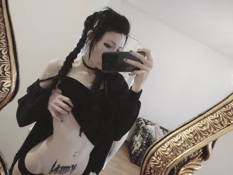 Kitten