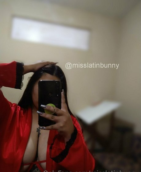 Misslatinbunny