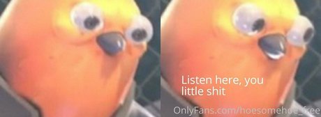 Melissa_cho_chang_free