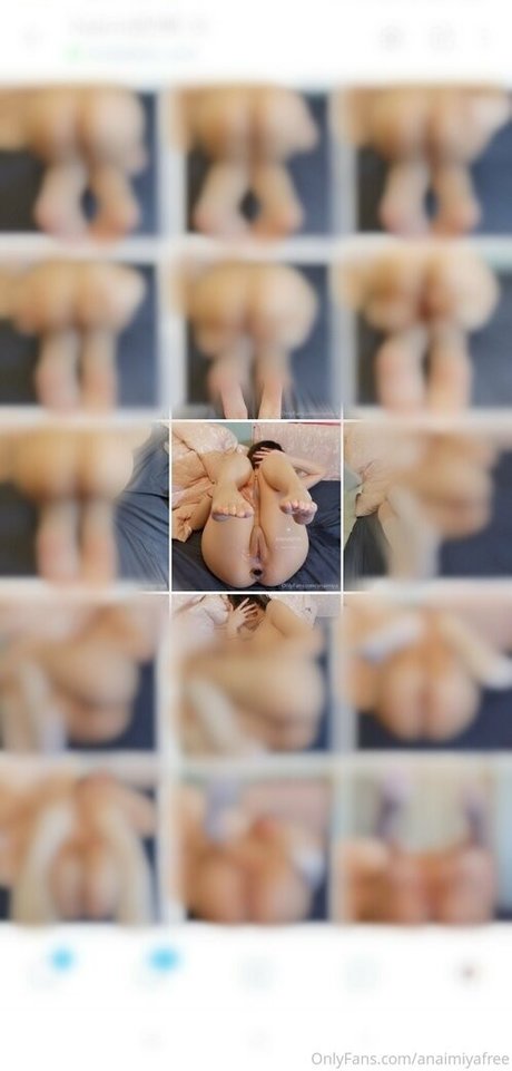 Anaimiyafree