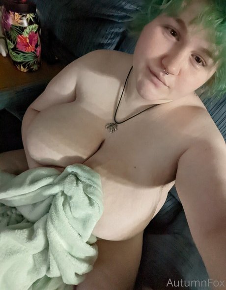 Perkyfox