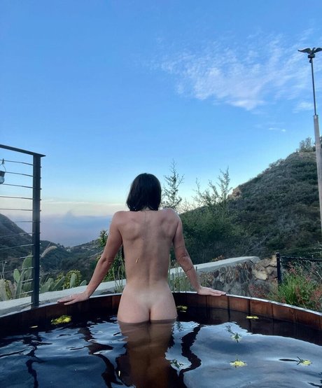 Scout Willis