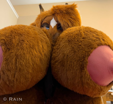 Photo nue de fuite OnlyFans de Rainhorsie