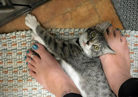 Princessttoes