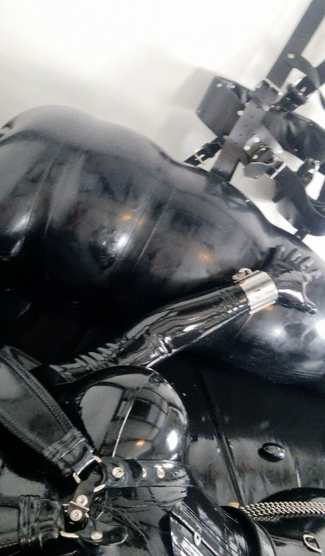 Rubberdollemma