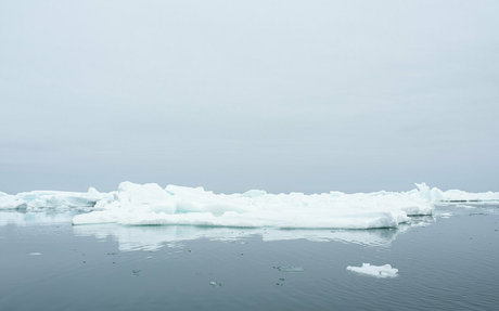 Iceicelady