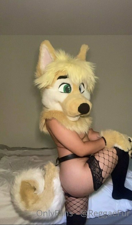 Transfurries