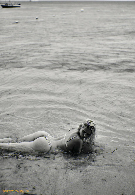 Ohrangutang