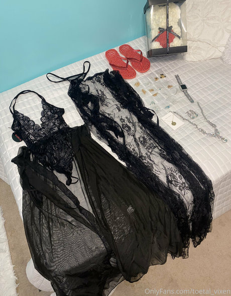 Toetal_vixen