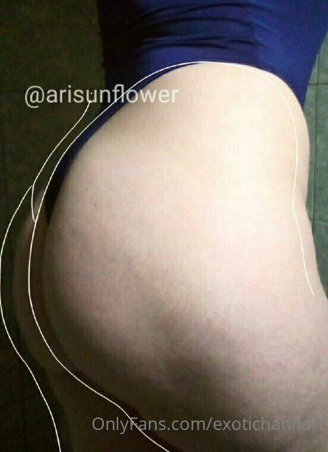 Photo nue de fuite OnlyFans de Exotichannah
