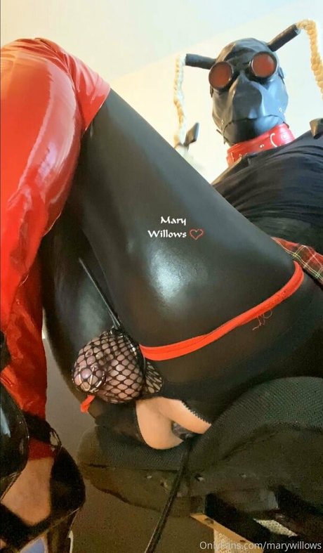 Photo nue de fuite OnlyFans de Marywillows