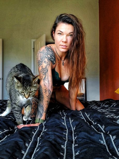 Americankat