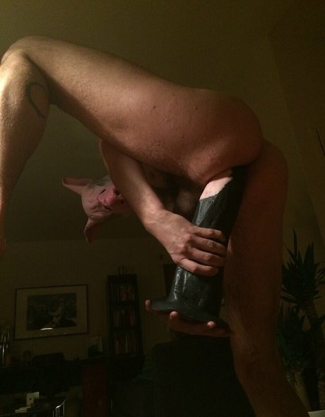 Abeardedboy