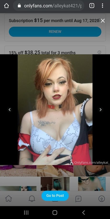 Alleykat421
