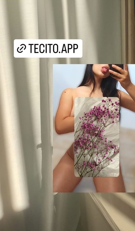 Tecito App