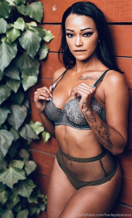 Harley Dean