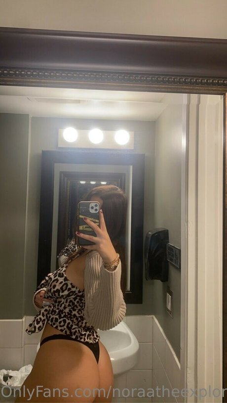 Noraatheexplorer