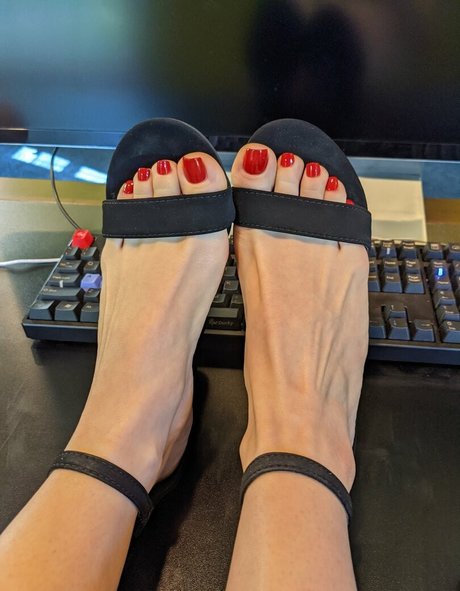 Dominantbasset