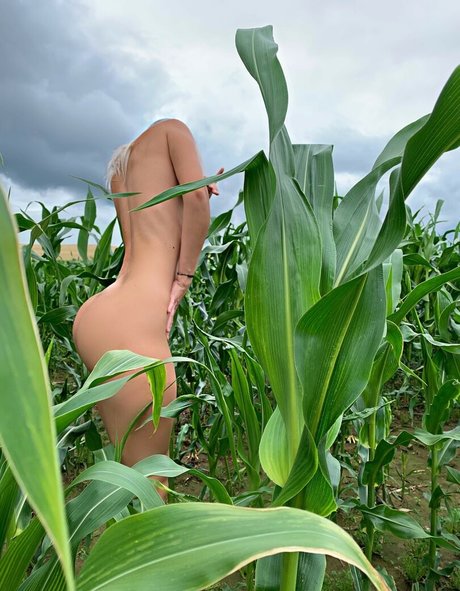 Photo nue de fuite OnlyFans de Popapopa