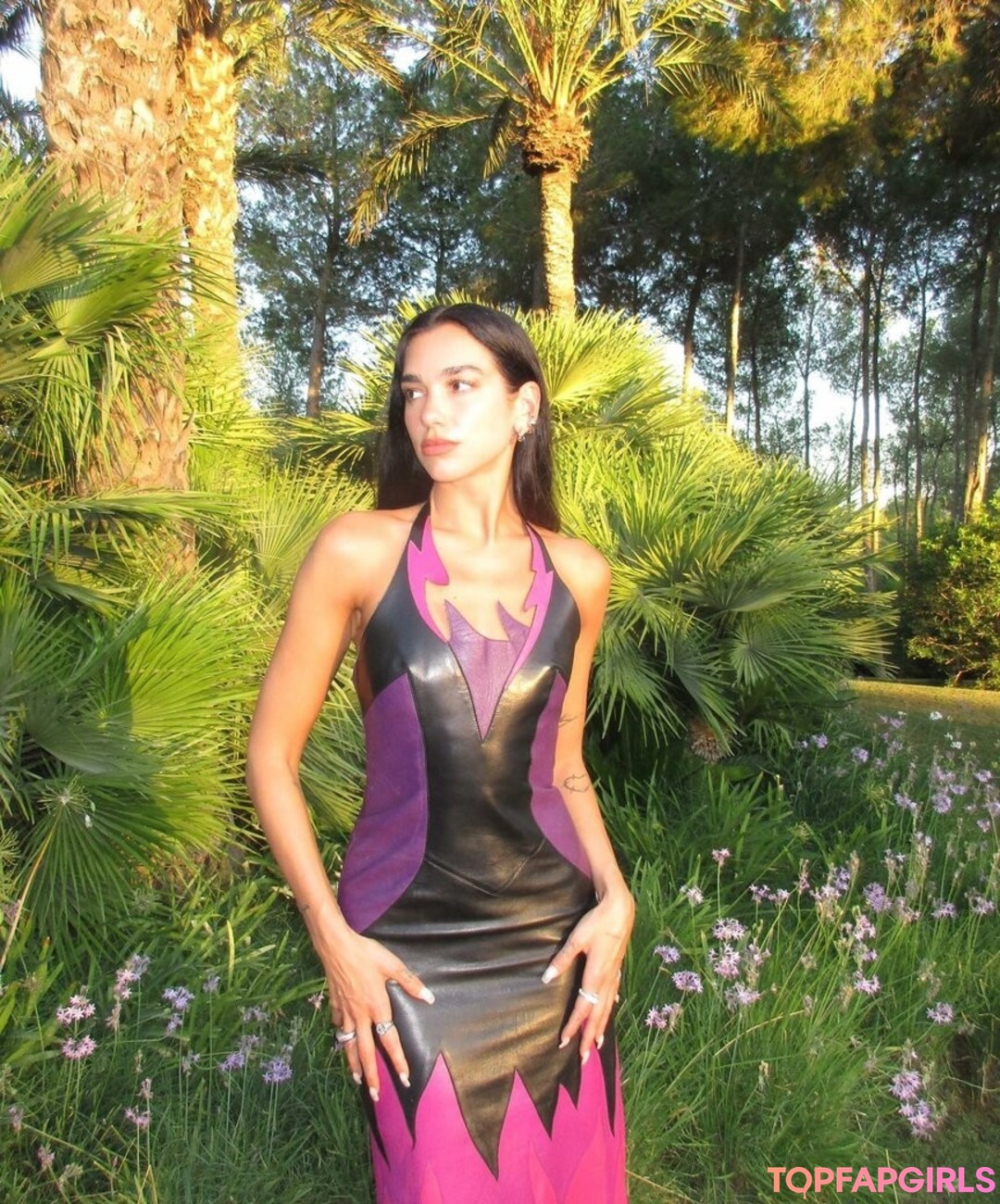 Photo nue de fuite OnlyFans de Dua Lipa #1181