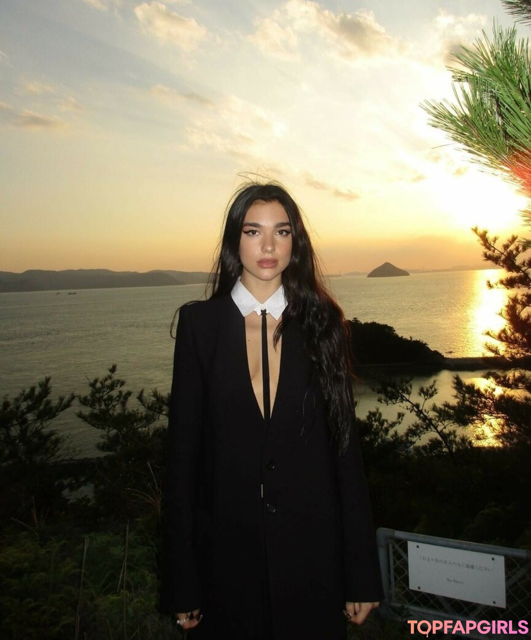 Photo nue de fuite OnlyFans de Dua Lipa #1450