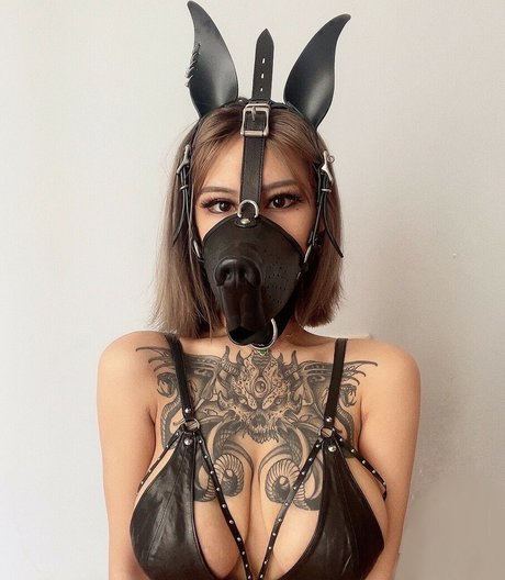 Deerwhite