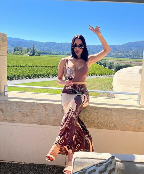 The Bella Twins: