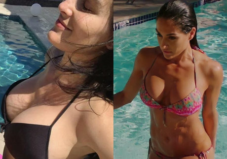 The Bella Twins: