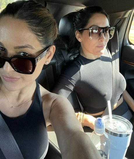 The Bella Twins: