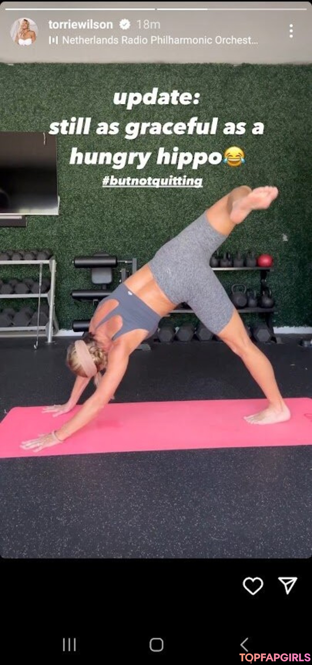 Photo nue de fuite OnlyFans de Torrie Wilson #1826