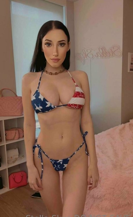 Vipstellaskye