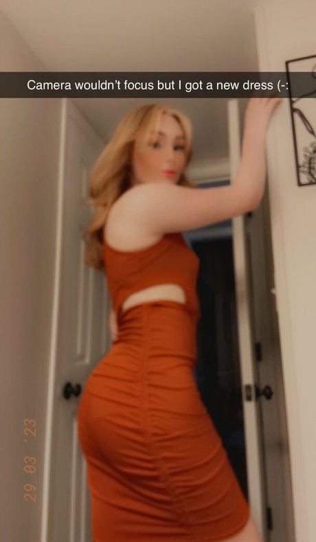 Shytrans