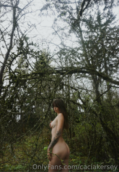 Acacia Kersey
