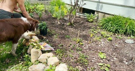 Photo nue de fuite OnlyFans de The Naked Gardener