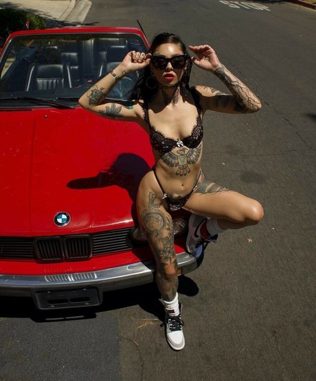 Taylor White