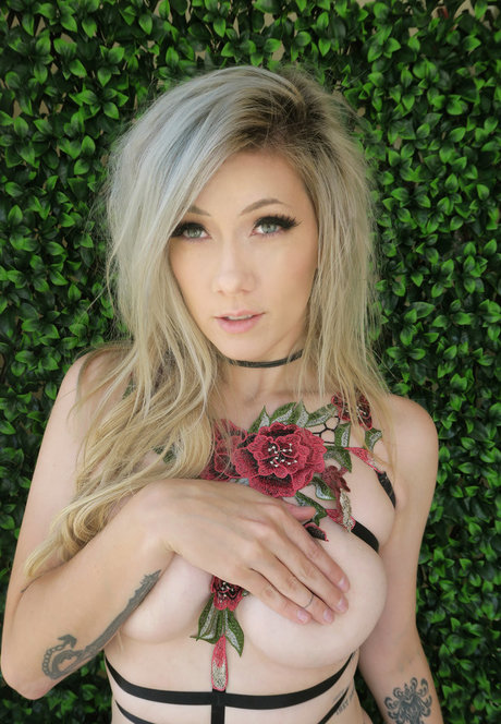 Lindsay Elyse